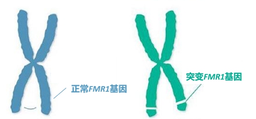 微信图片_20240109081516.jpg