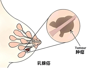 微信图片_20240131160916.jpg