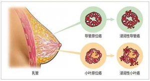 微信图片_20240131160923.jpg