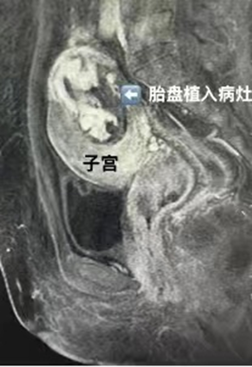 微信图片_20240301162605.jpg