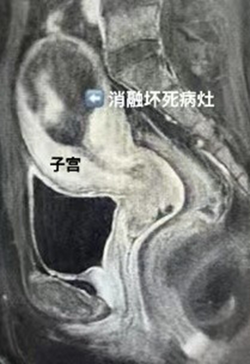 微信图片_20240301162610.jpg