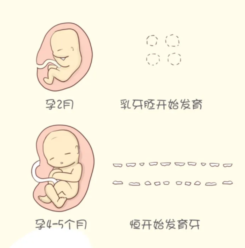 640 (2).png
