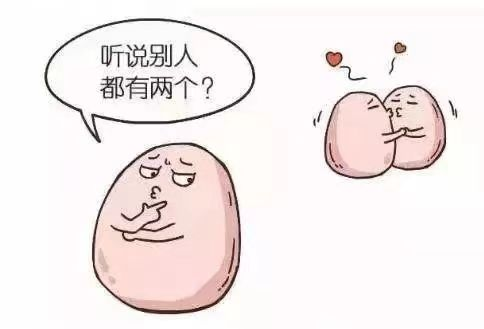 17114598731913205.png