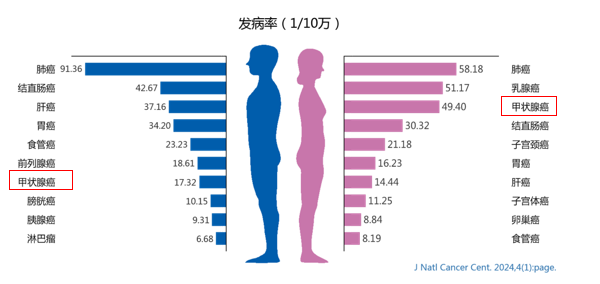 微信图片_20240402082442.png