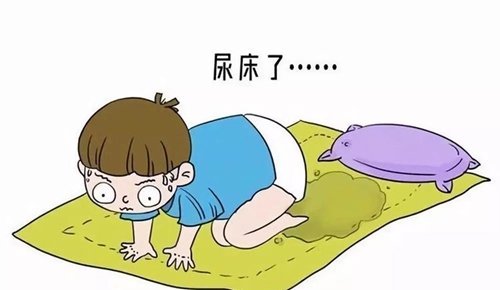 微信图片_20240529081301.jpg