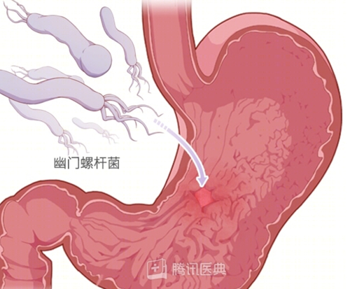 微信图片_20240604080707.jpg