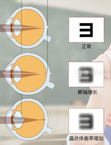 微信图片_20240611080841.jpg