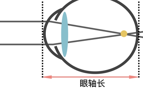 微信图片_20240611080857.jpg