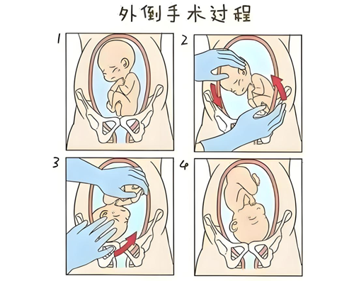 微信图片_20250512084912.png