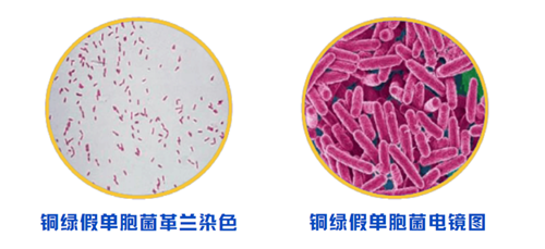 微信图片_20250610180959.png