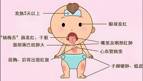 微信图片_2025-08-05_080858_967.jpg
