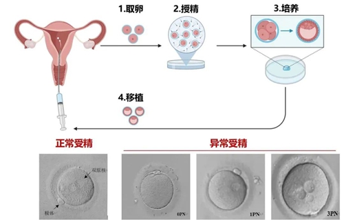 微信图片_2025-08-11_095808_688.jpg