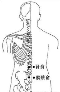 微信图片_2025-09-03_080709_014.jpg