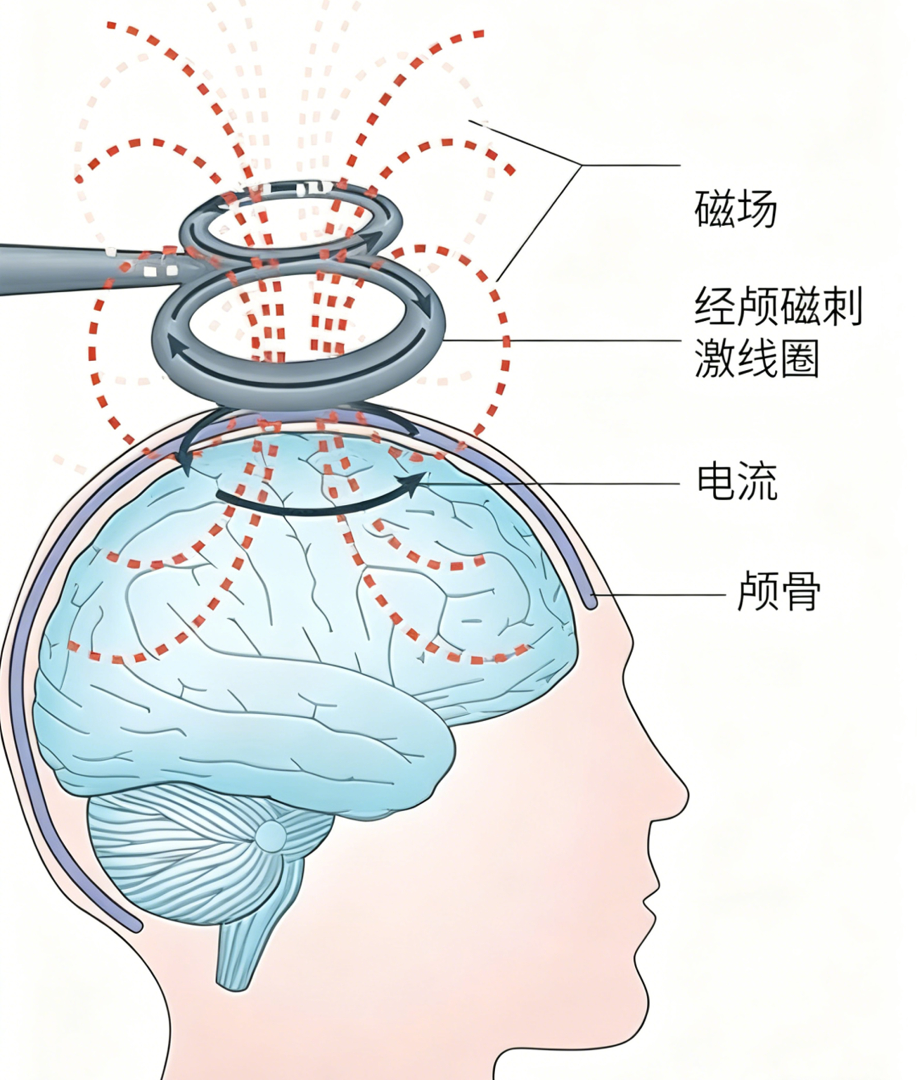 微信图片_2026-05-08_080659_657.jpg