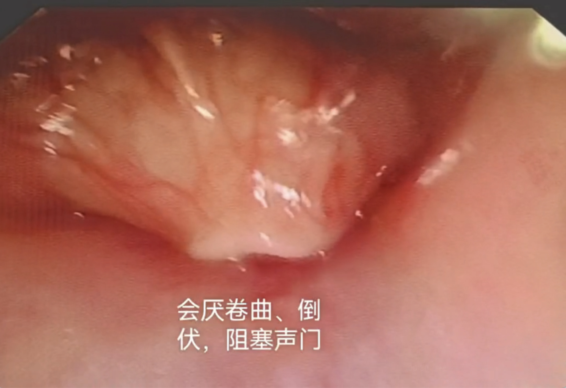 微信图片_2026-06-12_080800_293.jpg