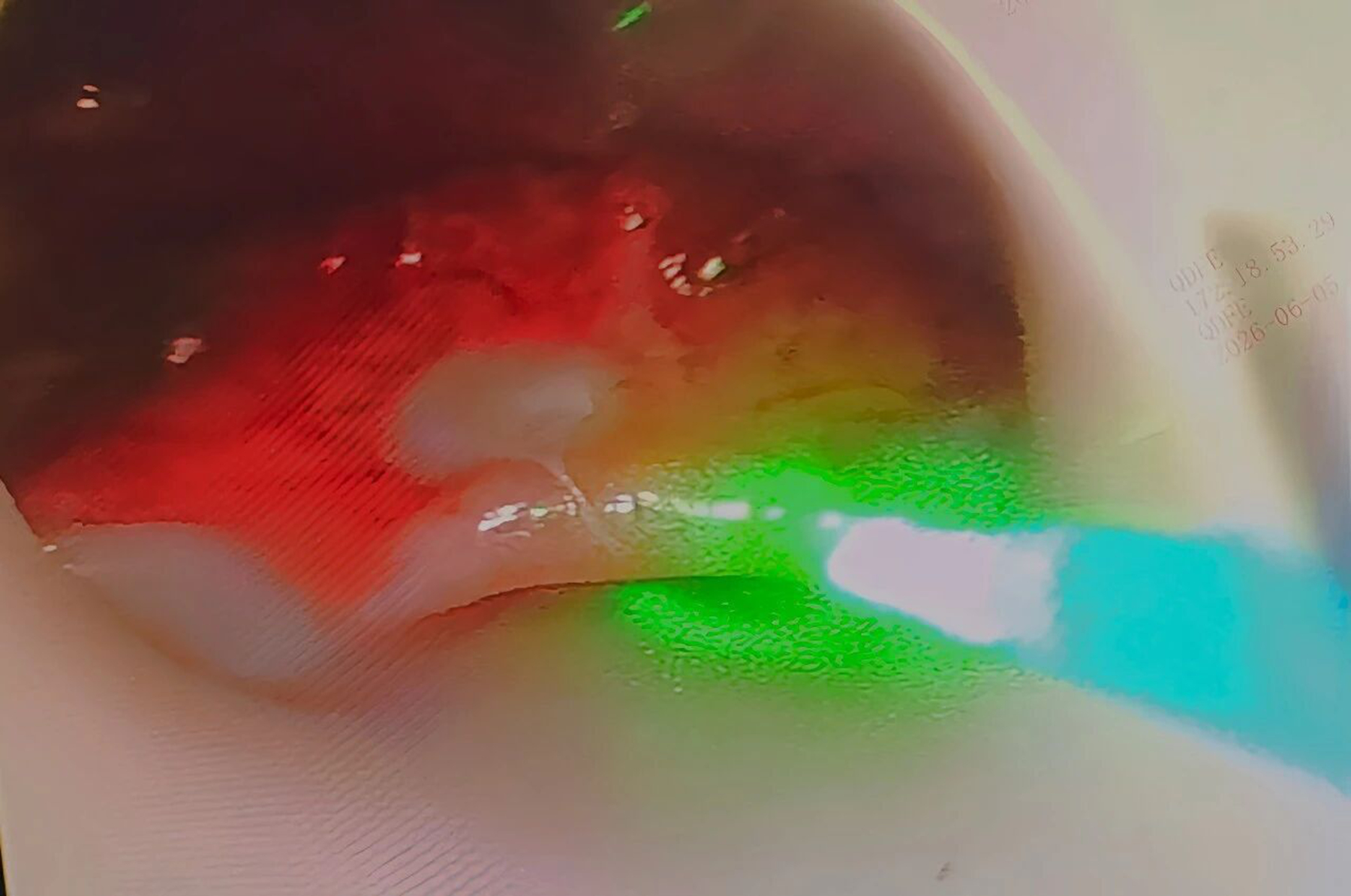 微信图片_2026-06-12_080805_282.jpg