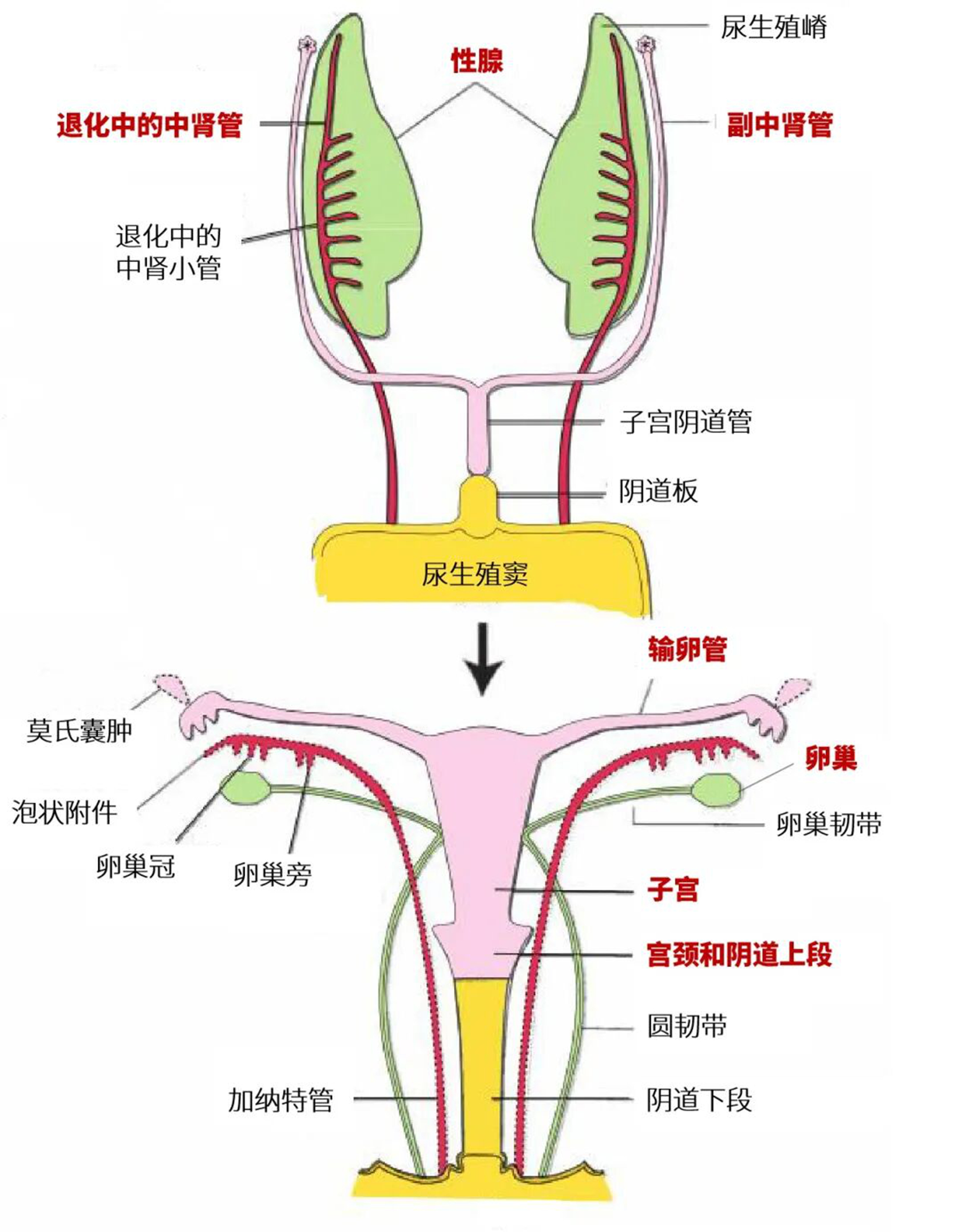 微信图片_2026-09-01_081349_373.jpg