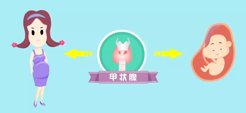 微信图片_20240314083441.jpg