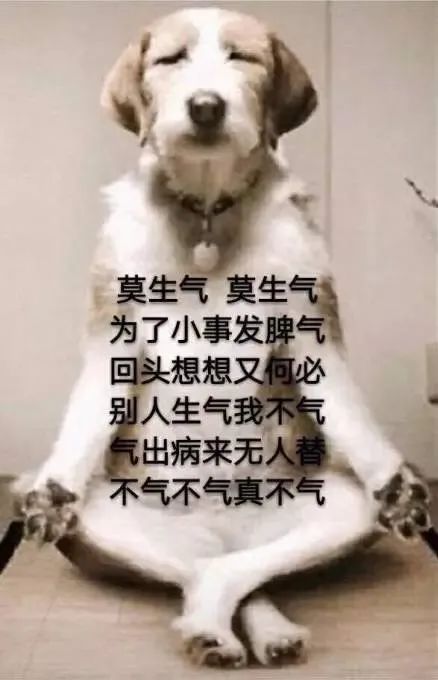 微信图片_20240402082446.jpg