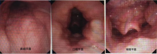 微信图片_20240423144658.png