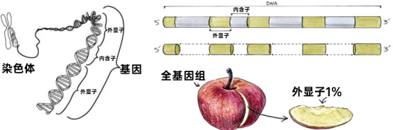 微信图片_20240425165234.png