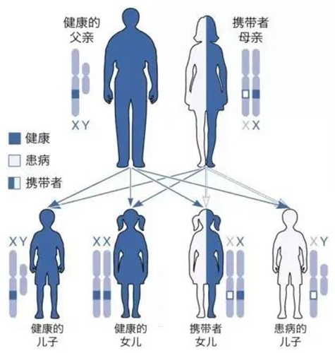 微信图片_20240507081008.jpg