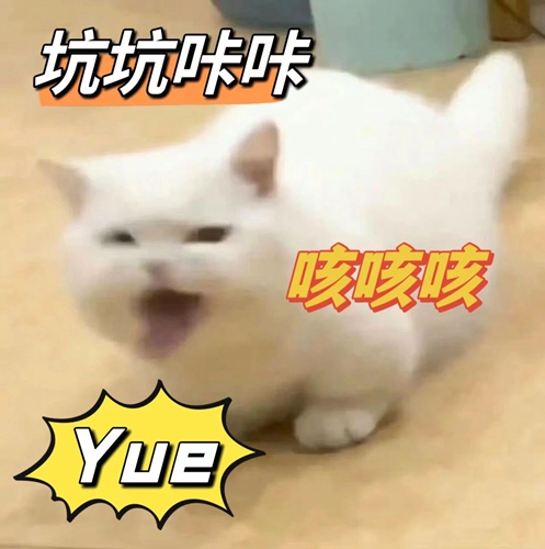 微信图片_20240509084001.jpg