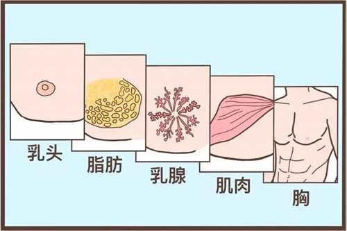 微信图片_20240509084507.jpg