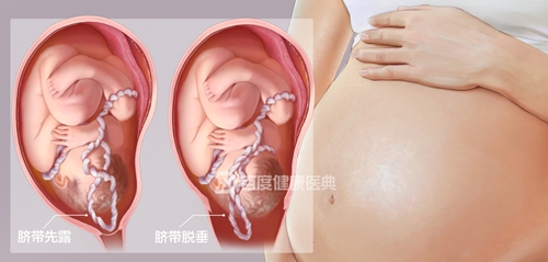 微信图片_20240527080550.jpg