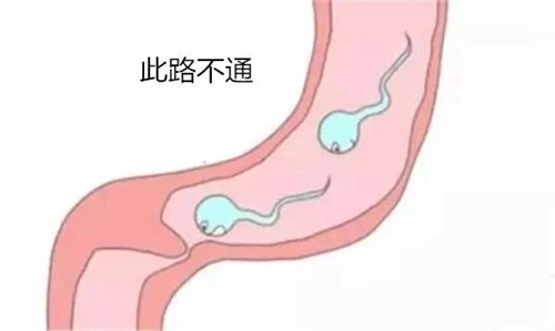 微信图片_20240723090847.jpg