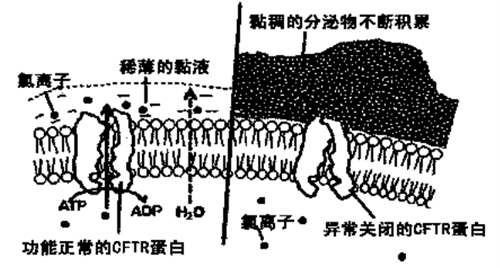 微信图片_20240723090905.jpg