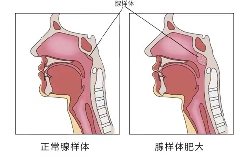 微信图片_20240812083220.jpg