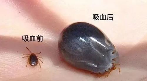 微信图片_20241021081453.png