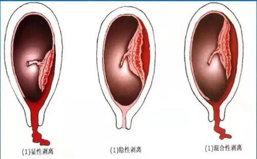微信图片_20241106080948.jpg