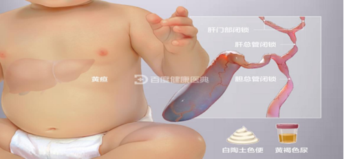 微信图片_20241120084746.png