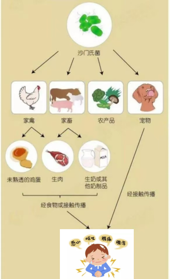 微信图片_20241202082551.png